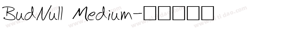 BudNull Medium字体转换
